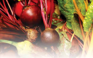 impact-of-and-adaptation-to-climate-change